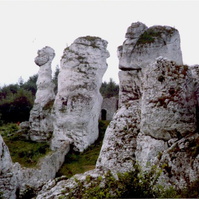 09.jpg