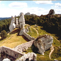 137.jpg