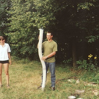 Ogro67.jpg