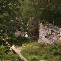 PICT2187.JPG